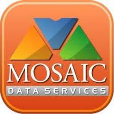 Dimitrios Tzortzis - Lead Developer, Mosaic Data Services